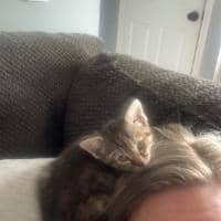 Sitter Profile Image: Jenny C.