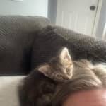 Sitter Profile Image: Jenny C.