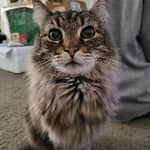 Sitter Profile Image: Kathleen R.