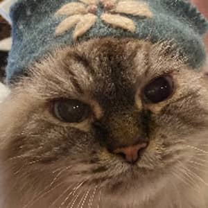 Sitter Profile Image: Lynn F.