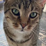 Sitter Profile Image: Debbie A.