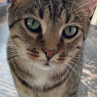 Sitter Profile Image: Debbie A.