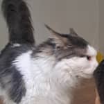 Sitter Profile Image: Gaëlle S.