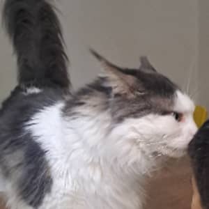 Sitter Profile Image: Gaëlle S.