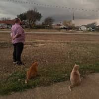 Sitter Profile Image: Russell B.