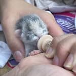 Sitter Profile Image: Alyssa E.