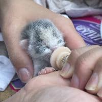 Sitter Profile Image: Alyssa E.