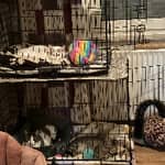 Sitter Profile Image: Wendy H.