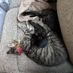 Sitterprofilbild: Shelby & Micah & Kayden L.