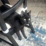 Sitterprofilbild: Tatiana L.