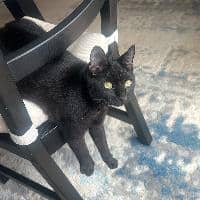 Sitterprofilbild: Tatiana L.