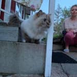 Sitter Profile Image: Julia K.