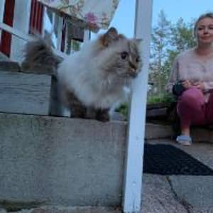 Sitter Profile Image: Julia K.