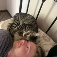 Sitter Profile Image: Carson C.