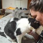 Sitter Profile Image: Crystal G.