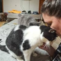 Sitter Profile Image: Crystal G.