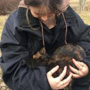 Sitter Profile Image: Isabelle K.