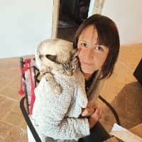 Sitter Profile Image: Carla M.