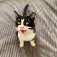 Sitter Profile Image: Kathleen M.