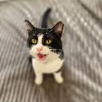 Sitter Profile Image: Kathleen M.