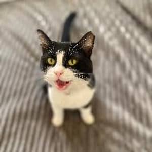 Sitter Profile Image: Kathleen M.