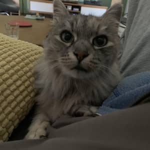 Sitter Profile Image: Jeanne D.