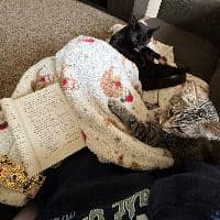 Sitter Profile Image: Tierstin B.