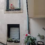 Sitter Profile Image: Kriszti A.