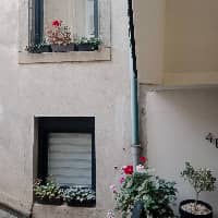 Sitter Profile Image: Kriszti A.