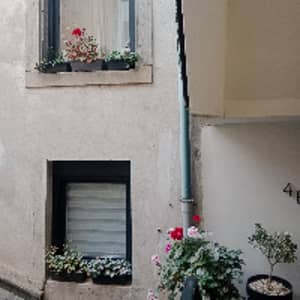 Sitter Profile Image: Kriszti A.