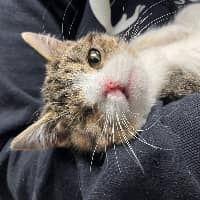 Sitter Profile Image: Emma M.