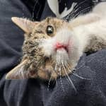 Sitter Profile Image: Emma M.