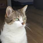 Sitter Profile Image: Hugo C.