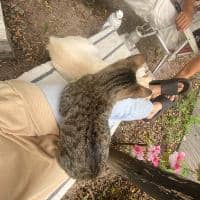 Sitter Profile Image: Belen D.