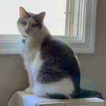 Sitterprofilbild: MC B.