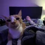 Sitter Profile Image: Kayla L.