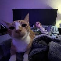 Sitter Profile Image: Kayla L.