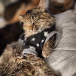 Sitter Profile Image: Kayla W.