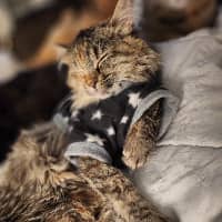 Sitter Profile Image: Kayla W.