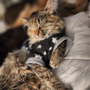 Sitter Profile Image: Kayla W.