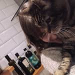 Sitter Profile Image: Wiktoria T.