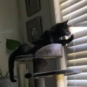 Sitter Profile Image: Amanda L.