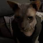 Sitter Profile Image: Dana B.