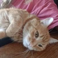 Sitter Profile Image: Shelly H.