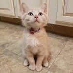 Sitter Profile Image: Kayla W.