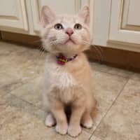 Sitter Profile Image: Kayla W.