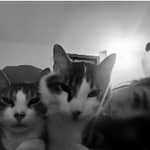 Sitter Profile Image: Marian Leandra A.