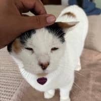 Sitter Profile Image: Odalys H.