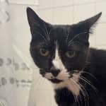 Sitter Profile Image: Jade R.