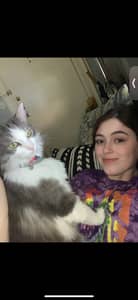 Sitter Profile Image: Alyssa W.